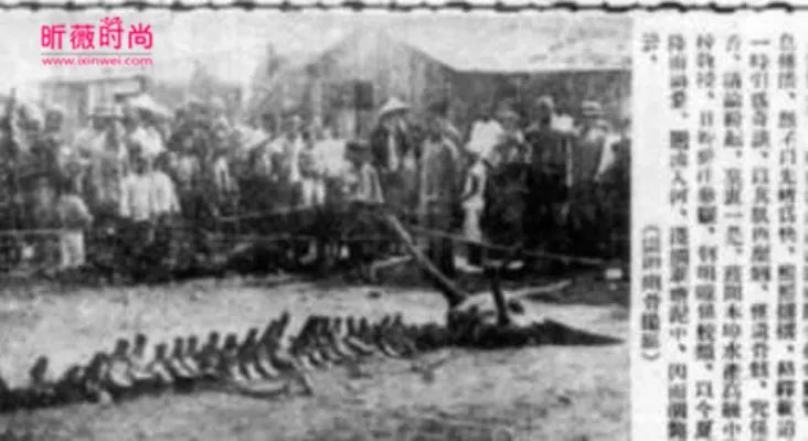 村民修路竟然意外挖出千年真龙(组图)