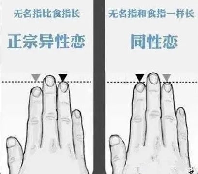 一张图看出你的性取向，男女性取向测试图来测一测
