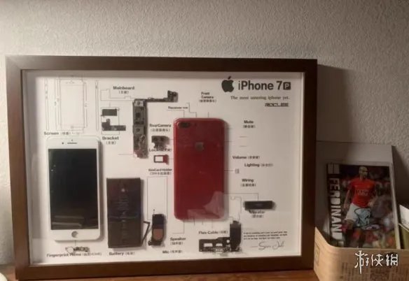 iPhone4被制成标本是怎么回事 iPhone4被制成标本介绍