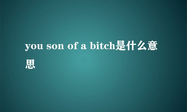 you son of a bitch是什么意思