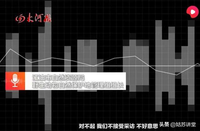四川江油黑熊咬死3位村民,如何看待黑熊频频伤人事件?