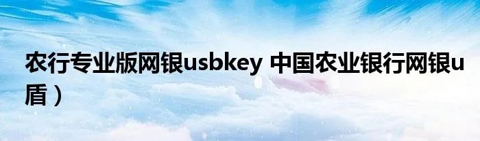 农行专业版网银usbkey 中国农业银行网银u盾）