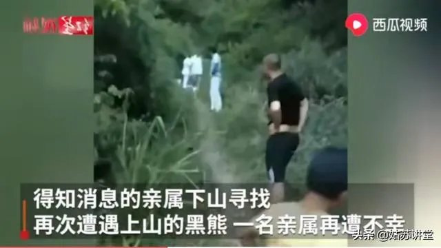 四川江油黑熊咬死3位村民,如何看待黑熊频频伤人事件?