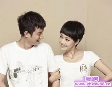 文章为什么骂马伊琍