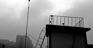 棉纱堵采样器造假 干扰环境造假这是为了什么