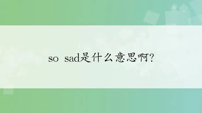 so sad是什么意思啊？