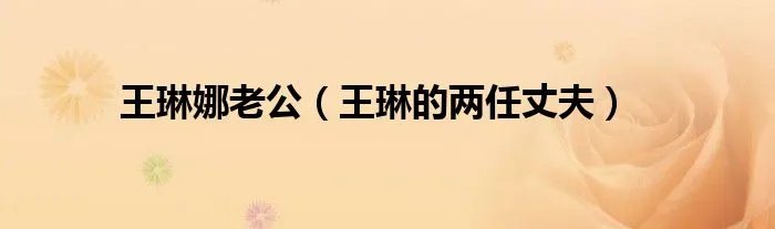 王琳娜老公(王琳的两任丈夫)