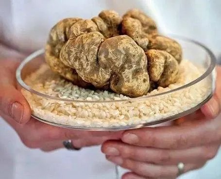 世界最贵食物:吃一嘴倾家荡产（图）