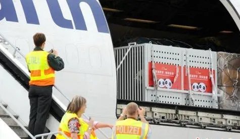 大熊猫抵达德国是怎么回事?