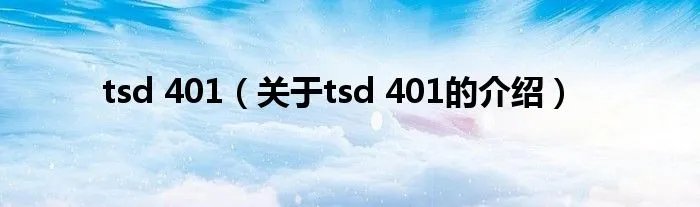 tsd 401（关于tsd 401的介绍）