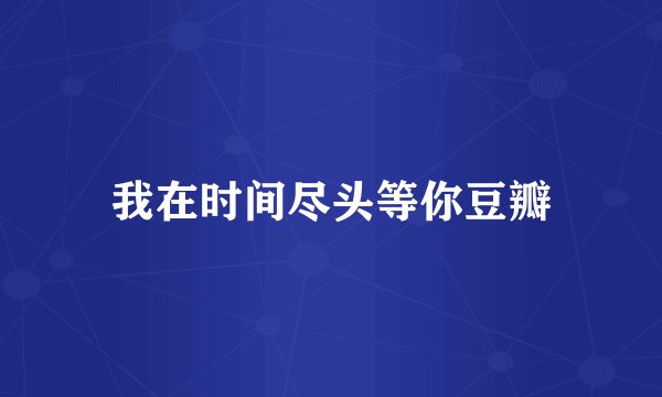 我在时间尽头等你豆瓣