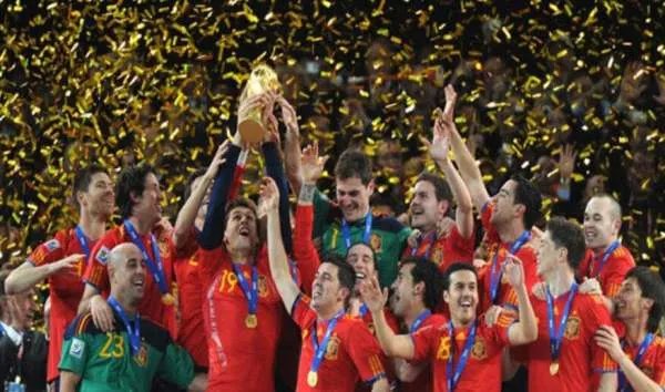 2010南非世界杯总决赛在哪里举行？