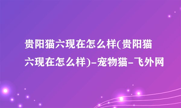 贵阳猫六现在怎么样(贵阳猫六现在怎么样)-宠物猫-飞外网