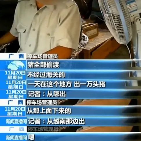 揭秘越南生猪走私 惊人黑幕令人震惊