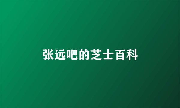 张远吧的芝士百科