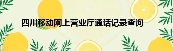 四川移动网上营业厅通话记录查询