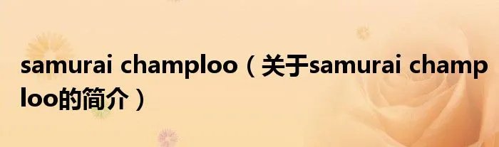samurai champloo（关于samurai champloo的简介）