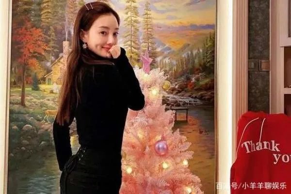 李小璐晒甜馨练舞蹲马步的视频,甜馨的状态看起来如何?