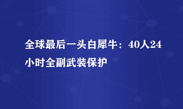 全球最后一头白犀牛：40人24小时全副武装保护