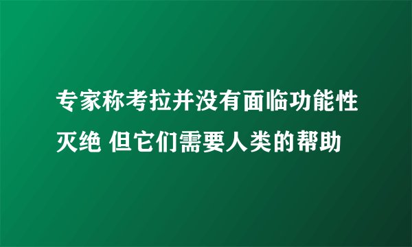 专家称考拉并没有面临功能性灭绝 但它们需要人类的帮助