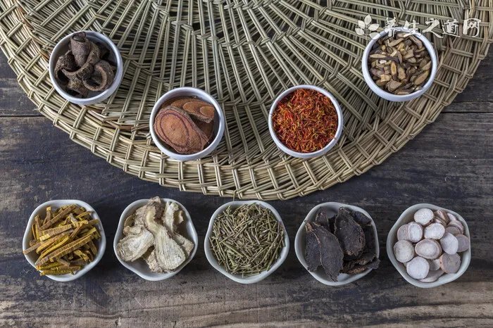 水泽兰的功效与作用水泽兰的药用价值