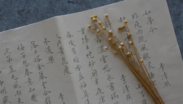 一方净土什么意思 一方净土啥意思