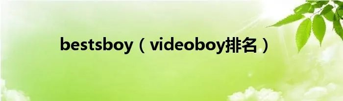 bestsboy（videoboy排名）