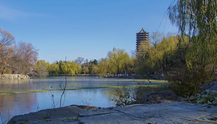 对食是什么意思 对食是什么意思古代