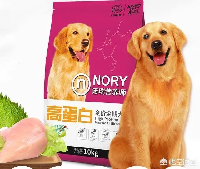 哈士奇吃什么狗粮好?