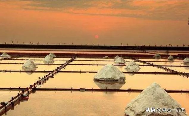 天津土著啥意思