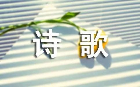 余秀华的诗歌《风吹》赏析