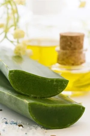 春季健康减肥8招 胖妞也能变窈窕