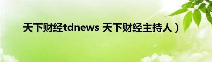 天下财经tdnews 天下财经主持人）