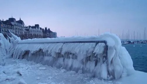 美国严寒8人冻死具体发生了什么事情?