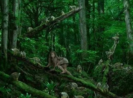 心酸!14个被野生动物养大的孩子(图文)