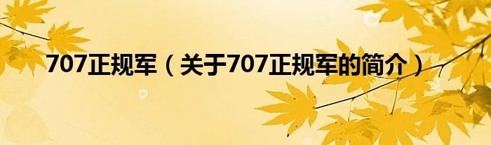 707正规军（关于707正规军的简介）