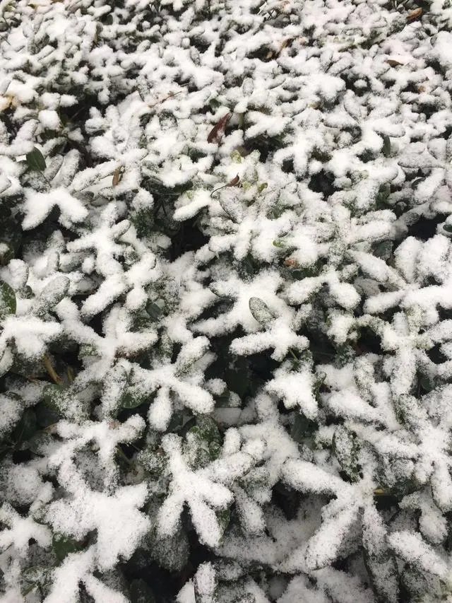 著名作家余光中病逝了吗?