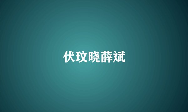 伏玟晓薛斌