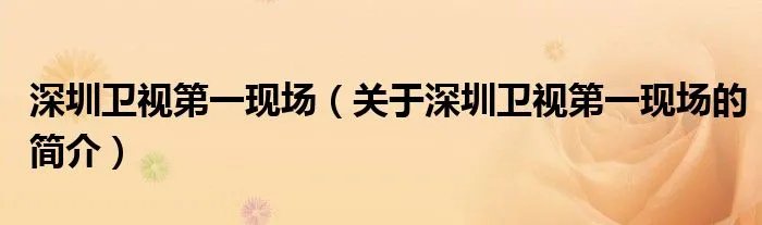 深圳卫视第一现场（关于深圳卫视第一现场的简介）