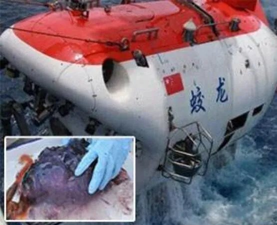 蛟龙号看见了什么 蛟龙号马里亚纳海沟6699米处抓拍