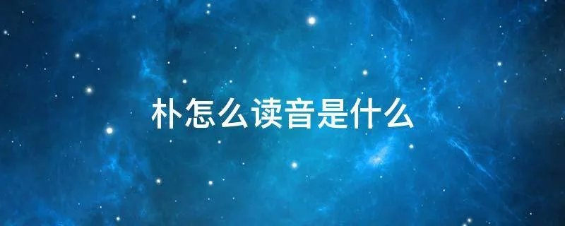 朴怎么读音是什么