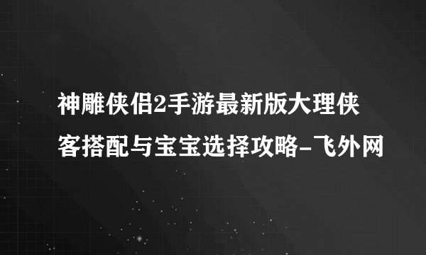 神雕侠侣2手游最新版大理侠客搭配与宝宝选择攻略-飞外网