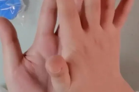 粘土手工简单小动物 制作方法