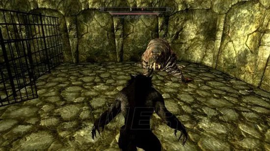 《上古卷轴5》狼人使用攻略 狼人装备技能玩法指南