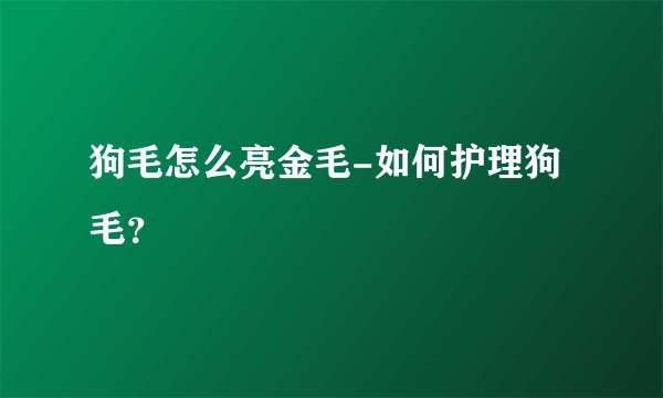 狗毛怎么亮金毛-如何护理狗毛？