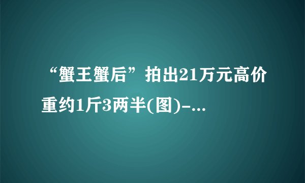 “蟹王蟹后”拍出21万元高价重约1斤3两半(图)-飞外网新闻
