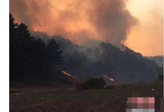 河北发生森林大火是什么原因引发的?