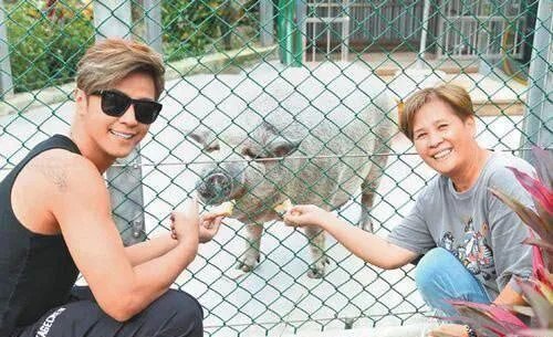 罗志祥被曝秘婚,是真是假?明星为何选择秘婚?