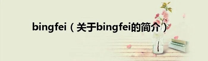 bingfei（关于bingfei的简介）
