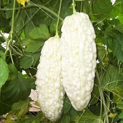 著名作家余光中病逝了吗?